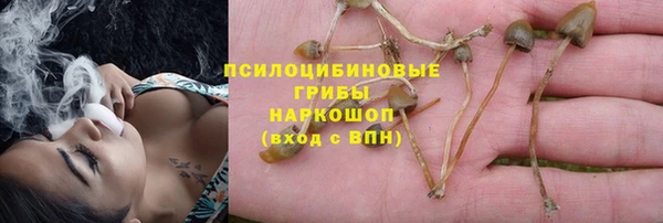героин Алзамай