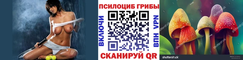 Галлюциногенные грибы Psilocybe Котово